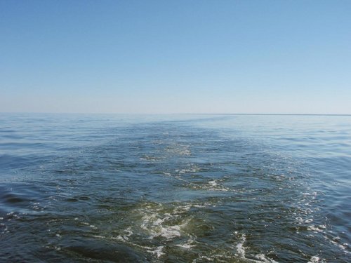 Idem_na_bereg - Copy.JPG