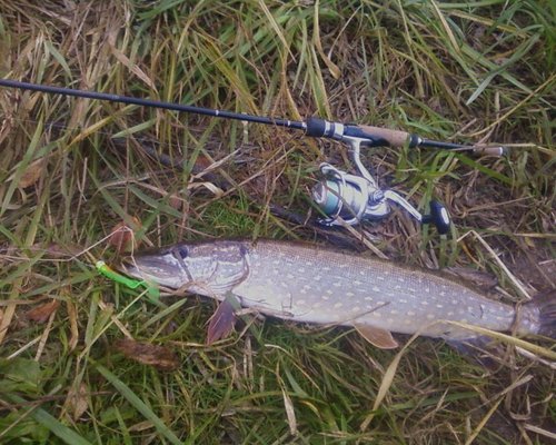 ФоÑо-0800.jpg (143.01 КБ) 13151 просмотр 1,200