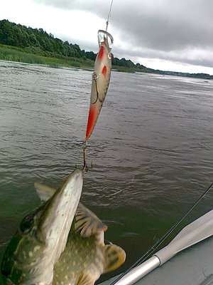 жить захочеш ещё нетак вывернишся