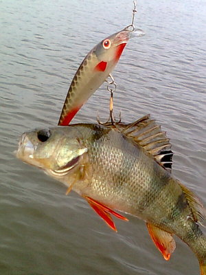 тоже рабочий воблерок