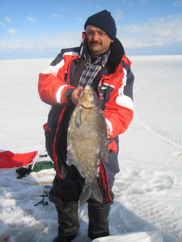 IMG_1466.JPG (109.26 КБ) 2153 просмотра Рекордный лещ 3.200