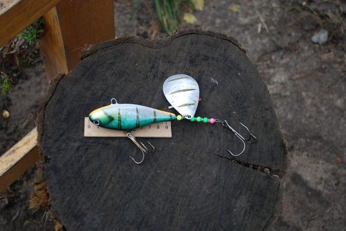 DSC_8321.JPG (101.89 КБ) 9828 просмотров 78гр, тело 10см, лепесток 49*68мм.