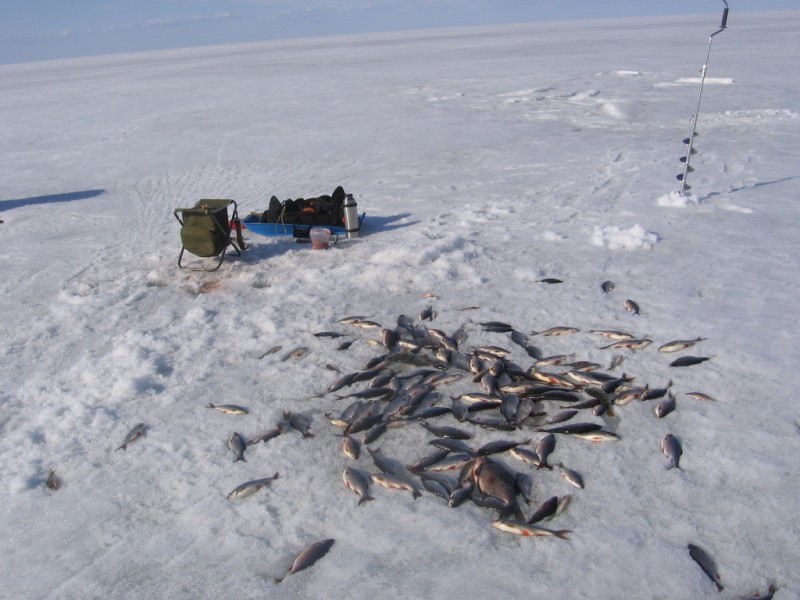 IMG_4303 (800 x 600).jpg