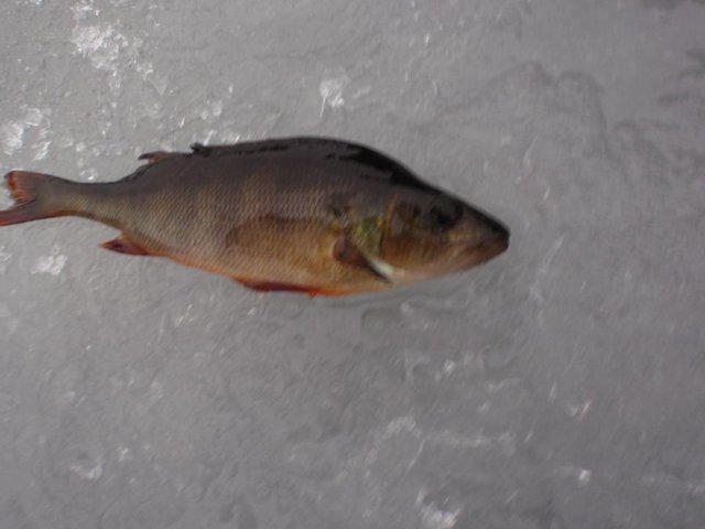 P2091440.JPG