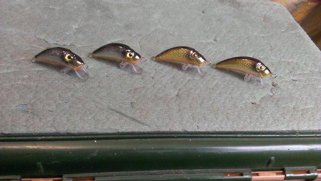 IMAG0270.jpg (108.89 КБ) 2432 просмотра худышки 4-4,5 гр.