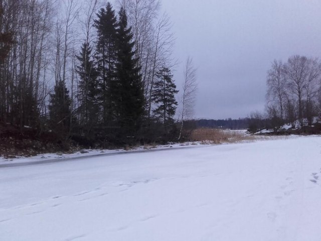 20160310_181927.jpg (78.48 КБ) 9064 просмотра 20160310_181927.jpg