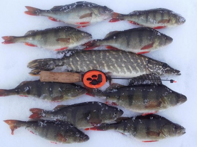 20160310_175544.jpg (97.79 КБ) 9064 просмотра 20160310_175544.jpg