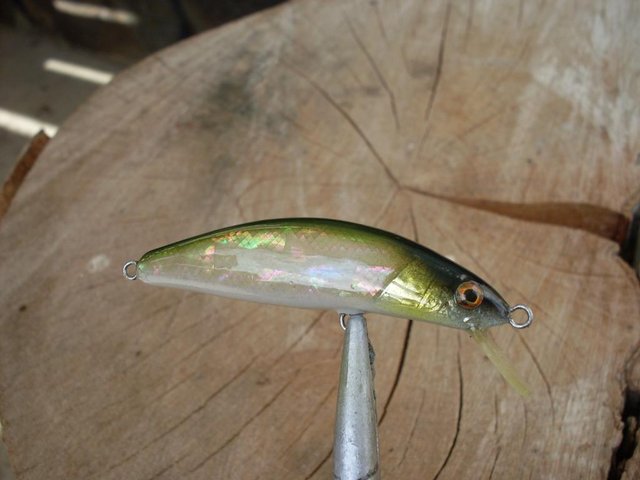 SDC11109.JPG