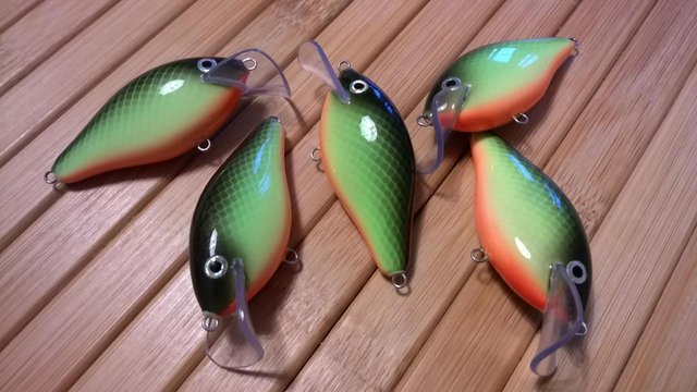 WP_20160317_015.jpg