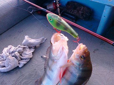 Изображение 192.jpg