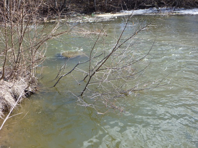 А вот тут она жила.