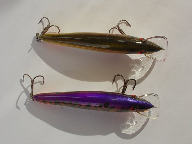 DSCN7851.JPG