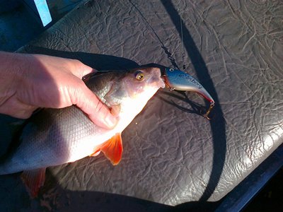 Изображение 190.jpg