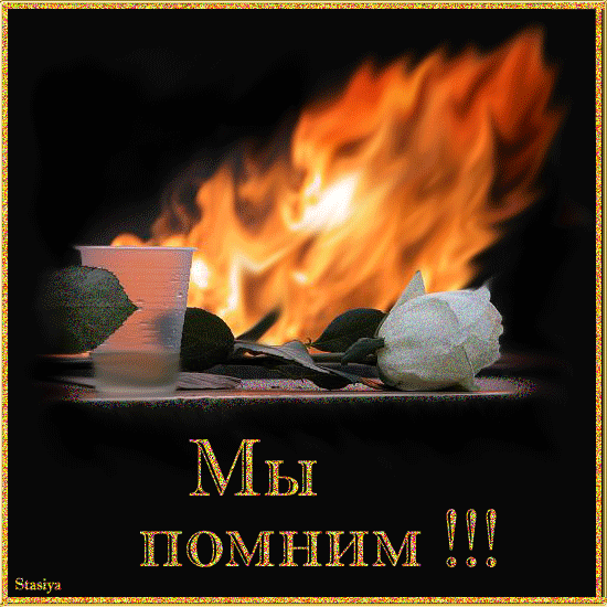 716901868.gif