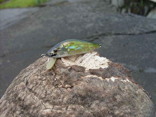 SDC11221.JPG