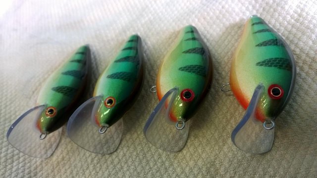 WP_20160524_006.jpg (98.93 КБ) 2718 просмотров Полосатые и буйные!