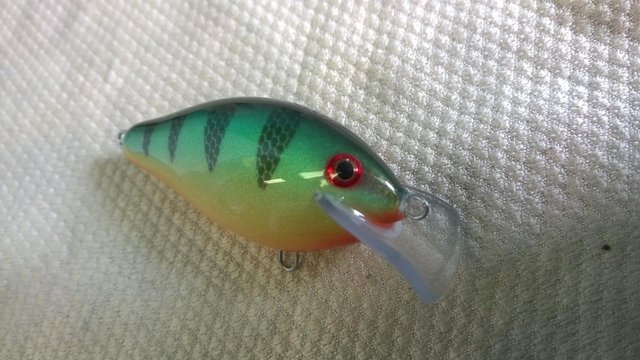 WP_20160524_007.jpg (128.88 КБ) 2718 просмотров С глазами произошла аказия: под пропионатом они потекли