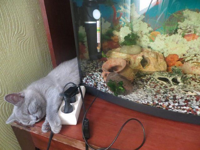 IMG_1615.JPG (102.94 КБ) 22532 просмотра Жаарко