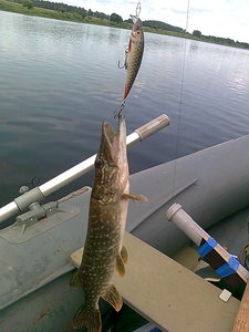 Изображение 527.jpg