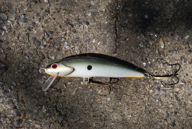 DSC_8326.JPG (198.58 КБ) 8969 просмотров 9.5см, ПВХ, б/о, 0.2-0.5м.