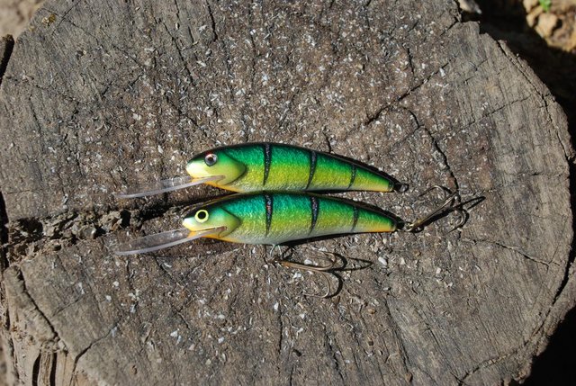 DSC_0586.JPG (253.69 КБ) 13641 просмотр 11см, рабочий горизонт около 3-3.5м.