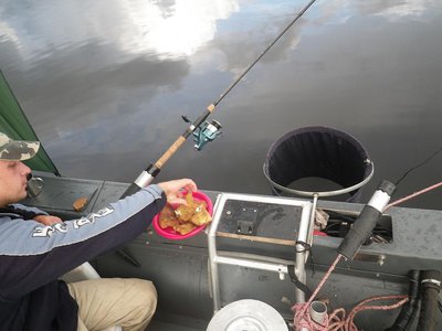 IMGP0747.JPG (91.42 КБ) 14895 просмотров перекус не отходя от удочек