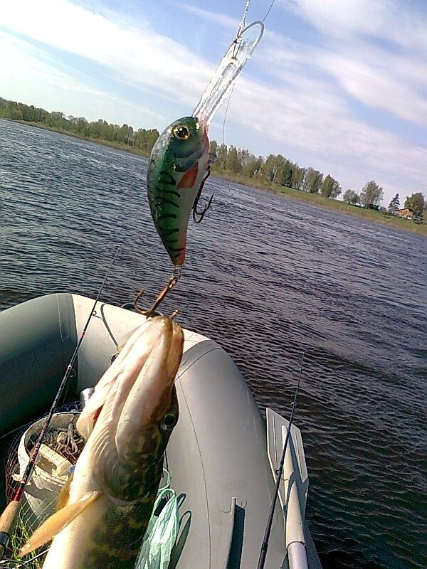 Изображение 1116.jpg