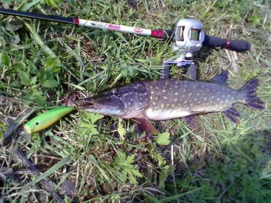 201105041221.jpg