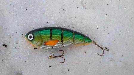 20170121_144409.jpg (68.12 КБ) 12319 просмотров 12см, 65 гр, медленно тонущий.