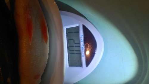 DSC_0384.JPG (44.28 КБ) 2000 просмотров Три штучки!