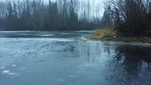 20170220_170539[1].jpg