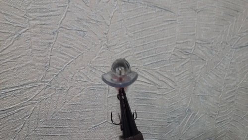 20170411_202813.jpg