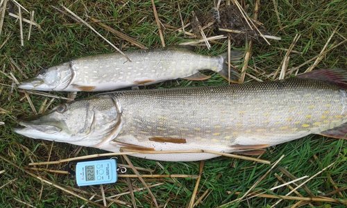 20170728_161229.jpg (190.13 КБ) 23794 просмотра 20170728_161229.jpg