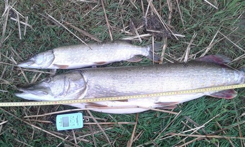 IMG-79d8cc3e0ecaa9835ba50f53287a86b6-V.jpg (184.06 КБ) 23867 просмотров IMG-79d8cc3e0ecaa9835ba50f53287a86b6-V.jpg