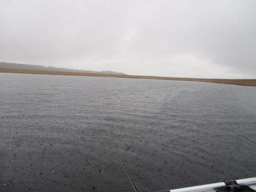 IMG_0102.JPG (97.9 КБ) 23184 просмотра IMG_0102.JPG