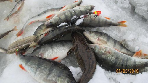 IMG_1815.JPG (114.95 КБ) 5923 просмотра IMG_1815.JPG