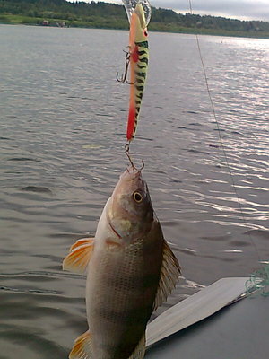 Изображение 643.jpg