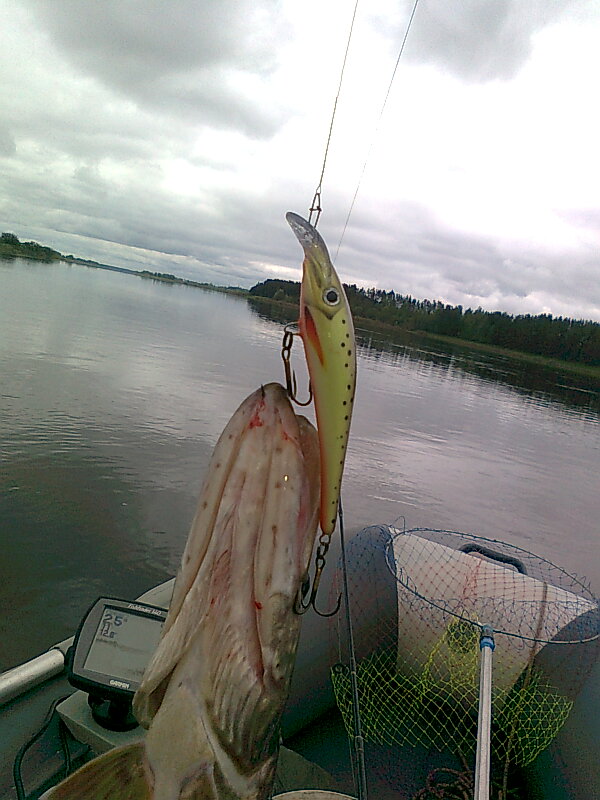 потом сработал воблерок с двойной игрой...