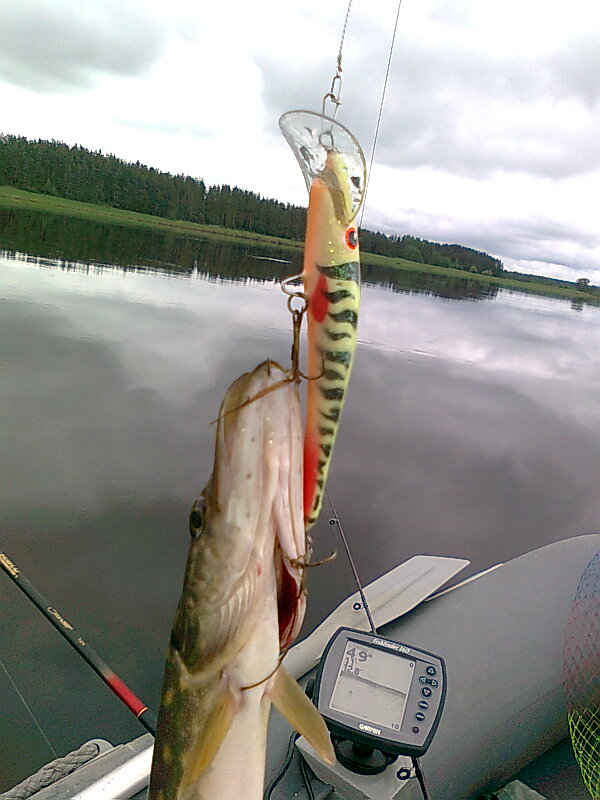 поставил прошлогодний с двойной игрой.... сразу, через пяток метров загиб...