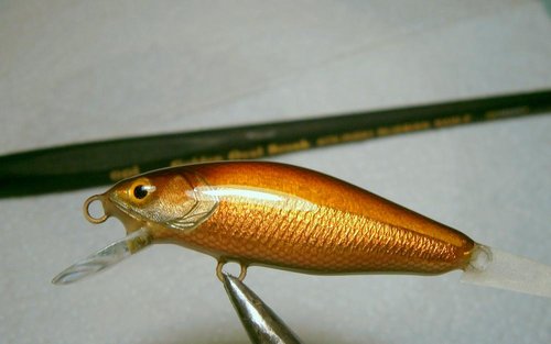 1-P3070352.JPG (59.95 КБ) 6759 просмотров 1-P3070352.JPG