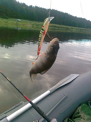 Брали только на этот воблер...