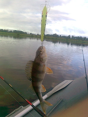 Изображение 645.jpg