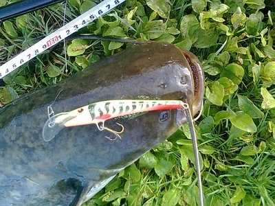 Изображение 653.jpg