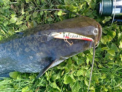 В полный рост немогу фотки вставить, пишет -размер большой