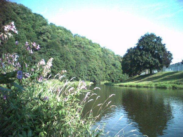 050805_085542 (600 x 450).jpg