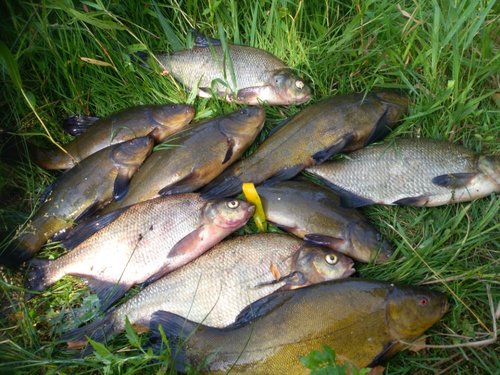 IMG_20180729_101433.jpg (179.19 КБ) 14975 просмотров IMG_20180729_101433.jpg