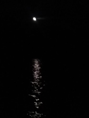 IMG_20180805_011603.jpg