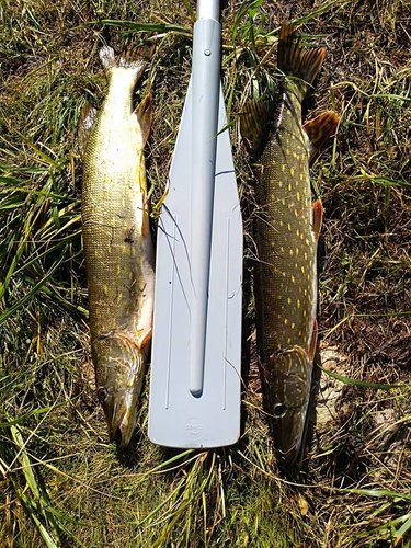 3.jpg (267.06 КБ) 17798 просмотров 3.jpg