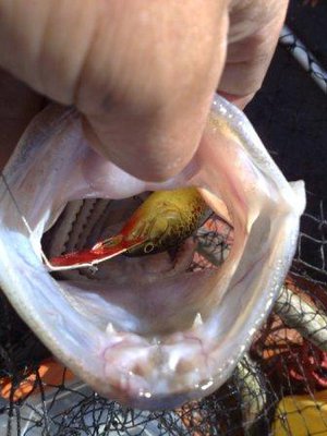 2009-2010-augusti 179.jpg