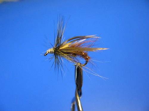 0_58207_def46f29_L.jpg